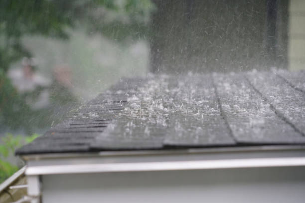 Best Asphalt Shingle Roofing  in Plymouth, IN